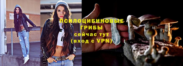 соль ск Алексеевка