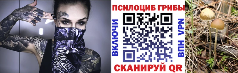 Галлюциногенные грибы мицелий  дарнет шоп  Палласовка 